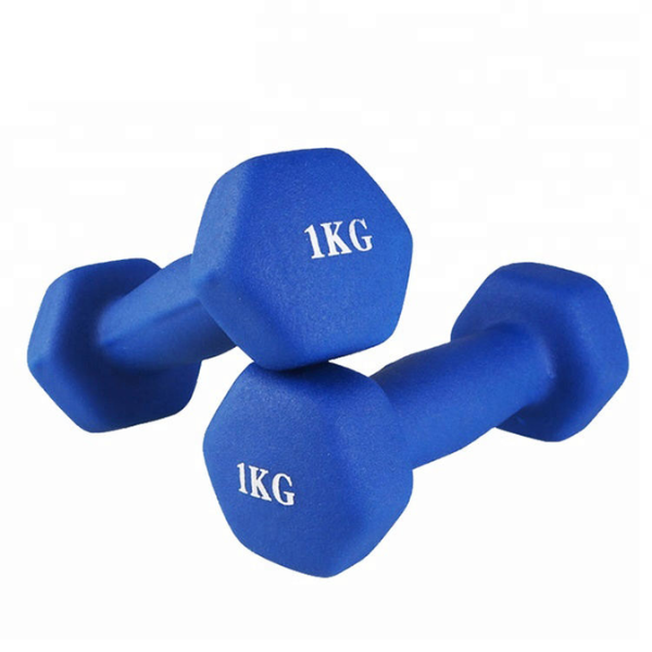 haltères de 1 à 10kg MULTICOLORES légers