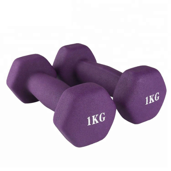 haltères de 1 à 10kg MULTICOLORES légers