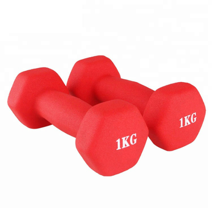 haltères de 1 à 10kg MULTICOLORES légers